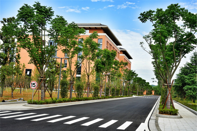 1559615933931188UK8J.jpg 1_meitu_7.jpg