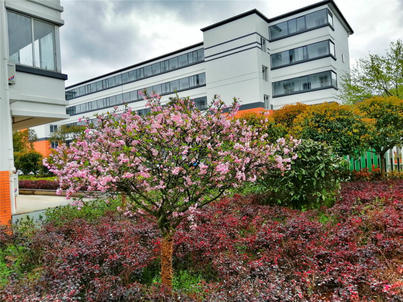 1559616189676136WsL1.jpg 1_meitu_12.jpg